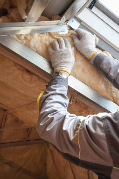 Best Insulation Maintenance and Repair in Griffin, GA