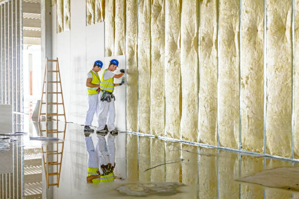 Best Energy Efficiency Insulation in Griffin, GA